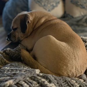 Meet your Posher, Angela